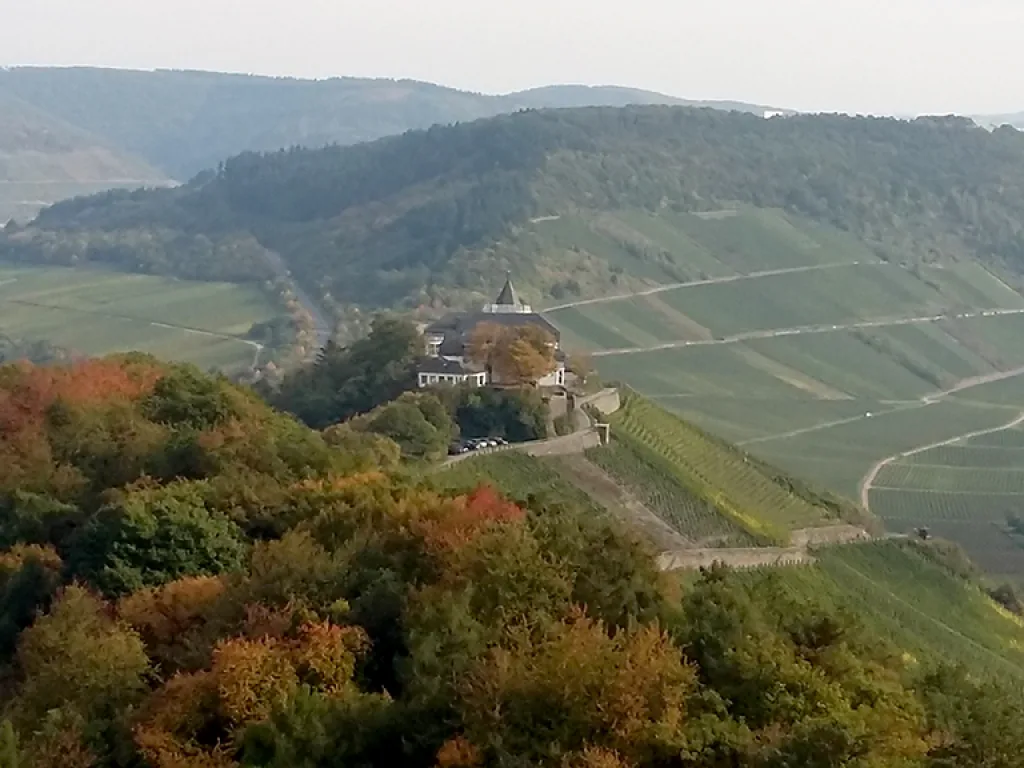 Burganlage über den Weinbergen im Herbst.